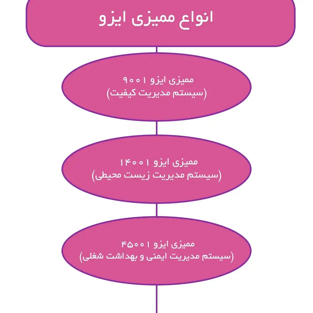 انواع ممیزی ایزو
